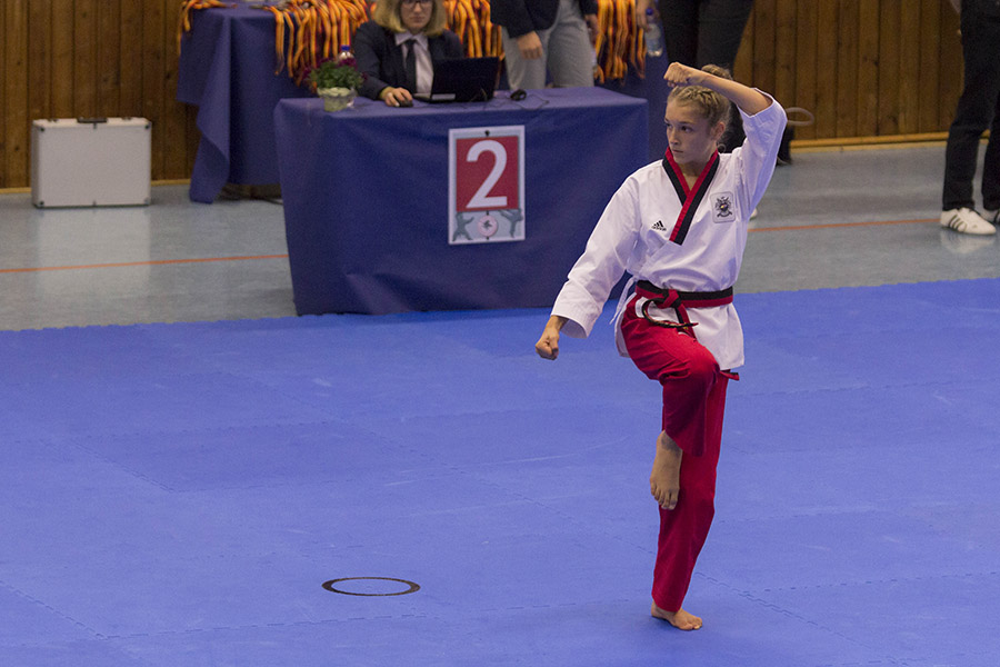 DM Bordesholm
