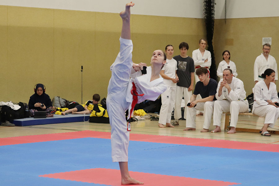 Newcomer Cup Walldorf 2026